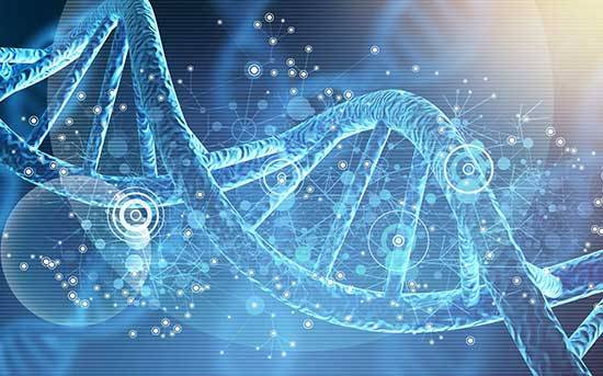 HSP: Proteins that help our cells fight against cellular stress HSP: Proteins that help our cells fight against cellular stress