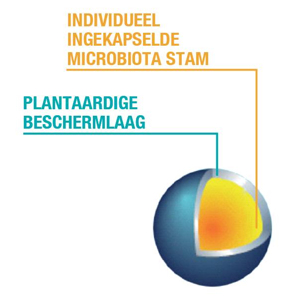 Probio protect