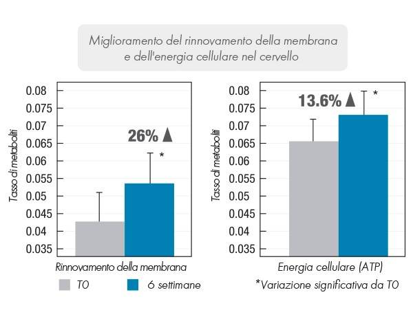 graph1