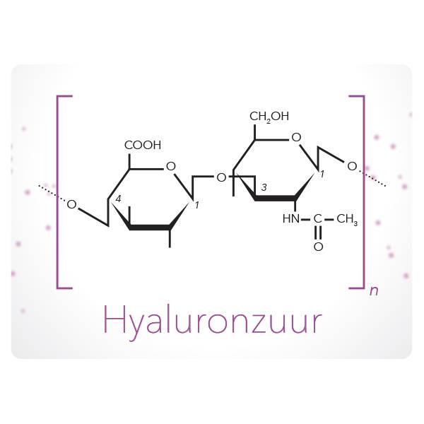 Nutrihyl schema