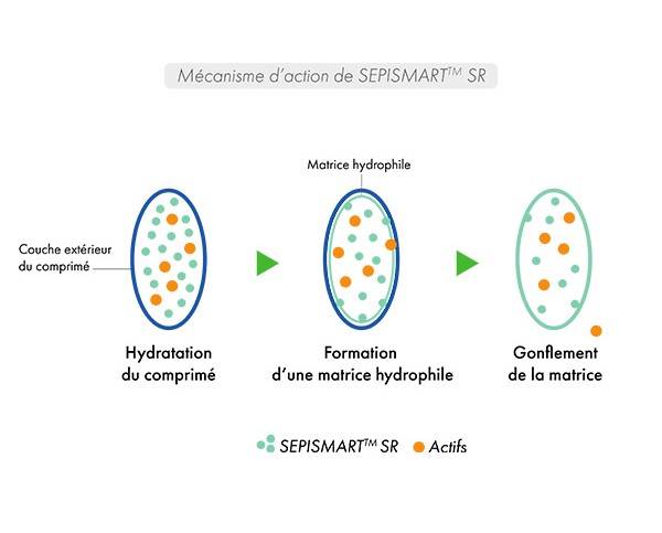 schema mécanisme d'action