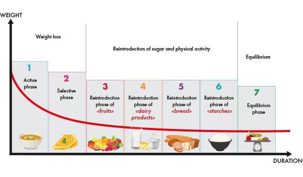schema phases